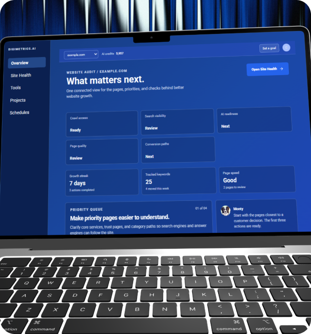 The Digimetrics workspace open on a laptop, showing the website audit overview